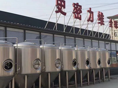 城区精酿啤酒设备厂—市场规模与跨界新需求